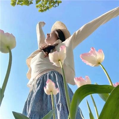 鹡鸰女神第一季